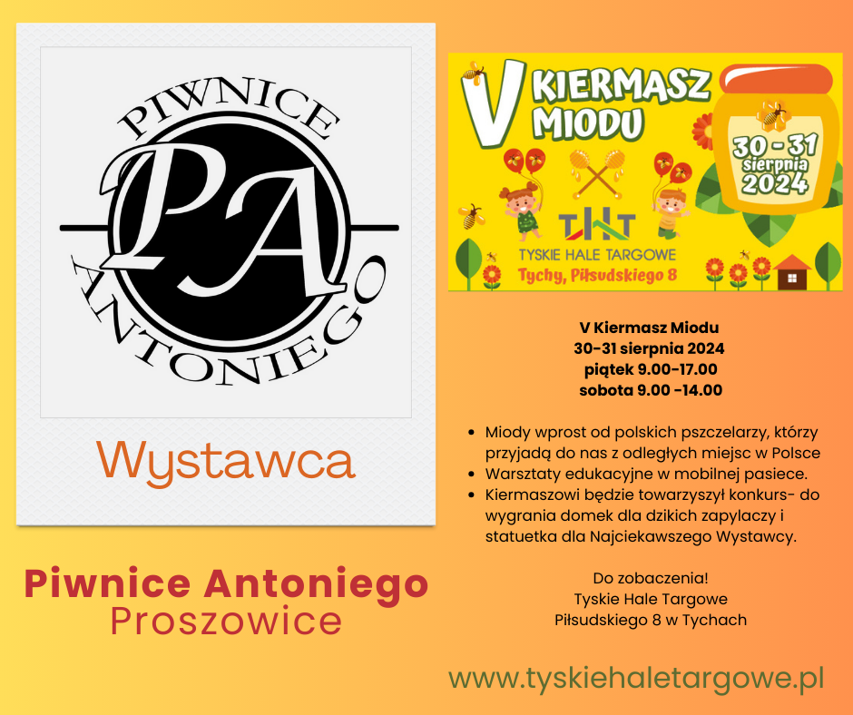 11.Piwnice_Antoniego